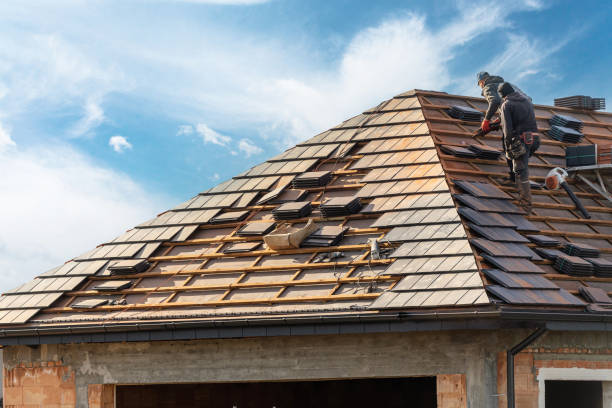 Best Skylight Installation and Repair  in Cleveland, FL